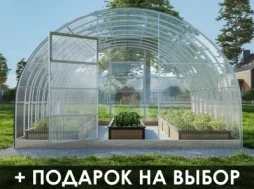 Теплица «СЕВЕРНАЯ-ДД» 4м